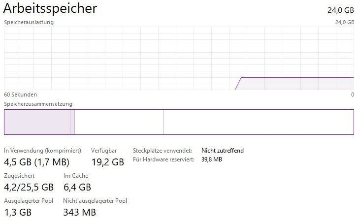 ram_usage_guest